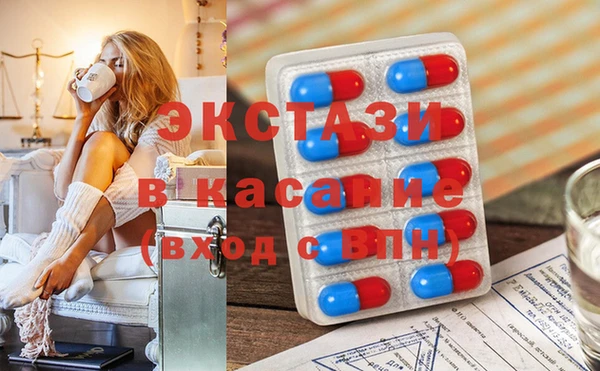 сатива Карпинск