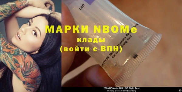 сатива Карпинск