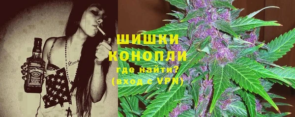 сатива Карпинск