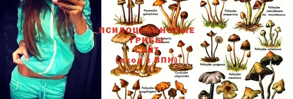 кокаин VHQ Карталы