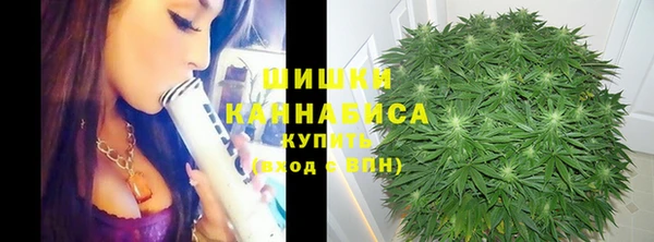 сатива Карпинск