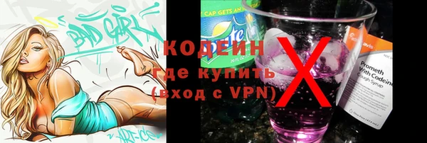 гашик Касимов