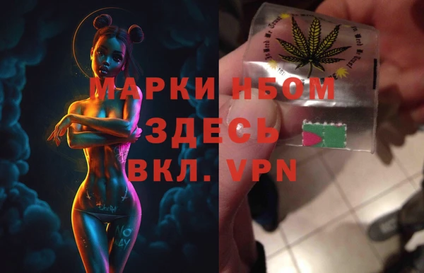 гашик Касимов