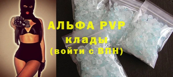 сатива Карпинск