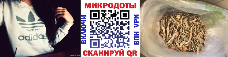 Купить  Вилюйск  Галлюциногенные грибы Psilocybine cubensis 