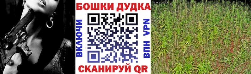 Конопля MAZAR Вилюйск